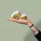 Pistachio Bem-Casado